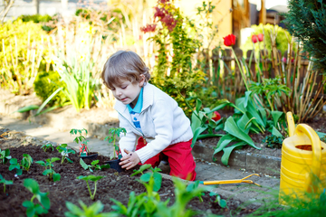 How To Teach Your Child To Become More Environmentally Friendly